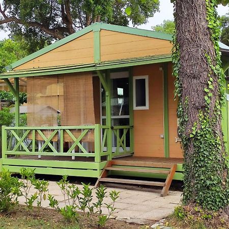 Casa Di Marina - Chalet Bungalow Hotel Sorbo-Ocagnano ภายนอก รูปภาพ